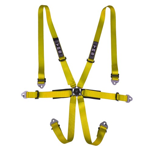 TRS New Pro Entry Level International 6 Point Harness