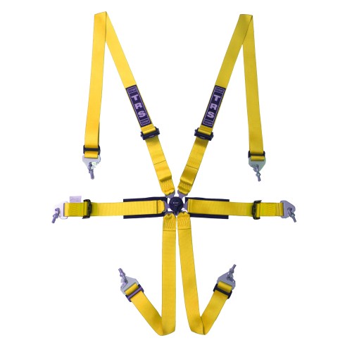 TRS New Pro Superlite International 6 Point Harness