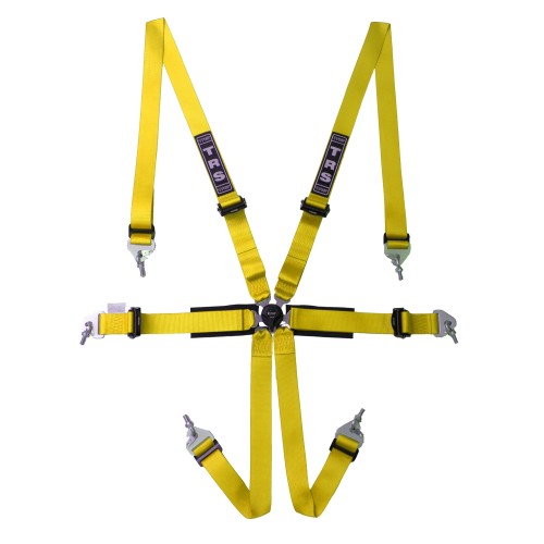 TRS New Pro Ultralite International 6 Point Harness