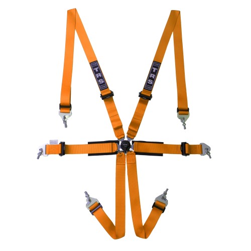 TRS New Pro Ultralite International 6 Point Harness