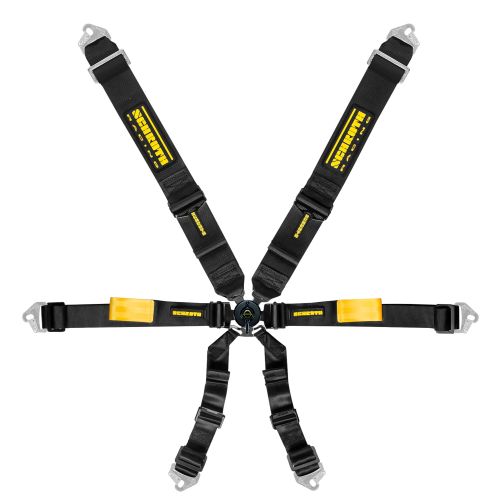 Schroth Enduro Harness