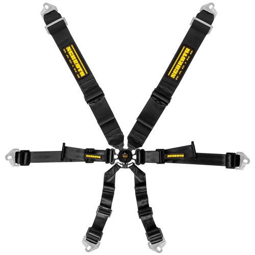 Schroth Profi 3x2 Harness