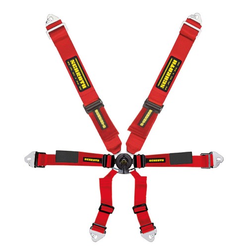 Schroth Enduro Harness