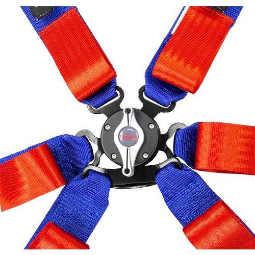 Lifeline Woodcote Apex Saloon 6 Point Harness