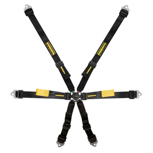 Schroth Enduro Harness