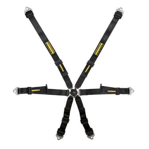 Schroth Profi 2x2 Harness