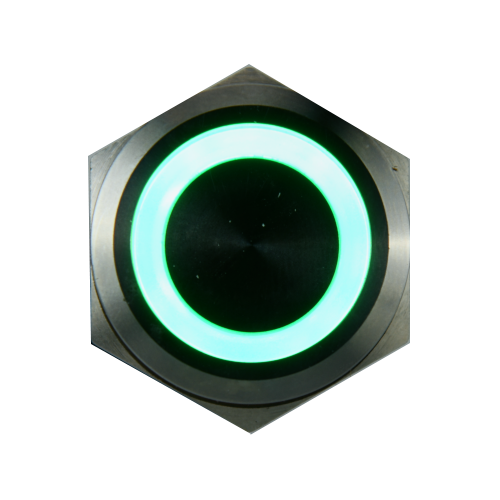 Push Button Switch, Latching with Illumination