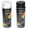 800° C High Temperature Paint