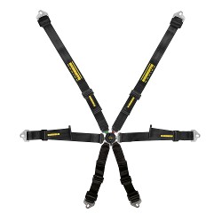 Schroth Profi 2x2 Harness